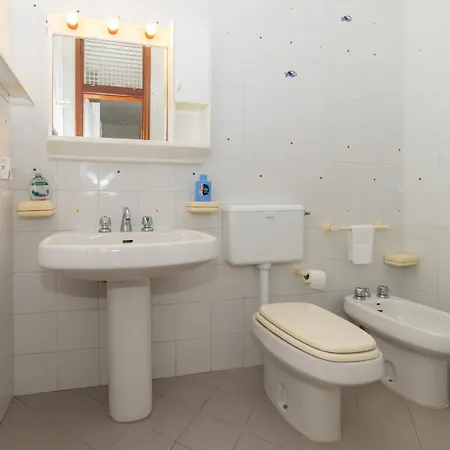 Gelsimori 50 Meters From The